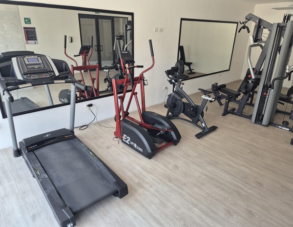 Gimnasio