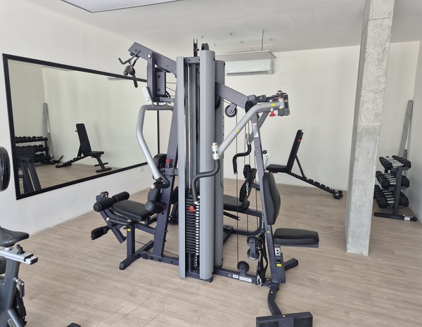 Gimnasio